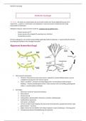 Samenvatting Handboek mycologie en parasitologie -  Microbiologie En Infectieziekten