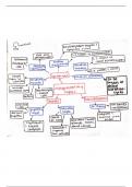 Layers of the Integument - Mind Map