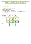 OCR A-Level Biology 6.2.3 Dihybrid Inheritance