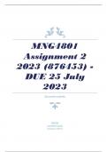 MNG4801 Assignment 2 2023 (876453) - DUE 25 July 2023
