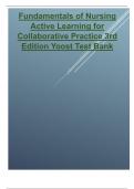 Fundamentals of Nursing Active Learning for Collaborative Practice 3rd Edition 2024 updated test bank  by Yoost 