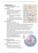 Biologie samenvatting celdeling/-differentiatie/-cyclus/-onderdelen en passief/actief transport