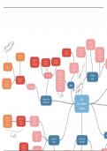 Intouchables as level when French mind maps
