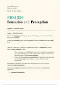 PBSI 320 Ch.3 Sensation and Perception