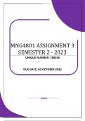 MNG4801 ASSIGNMENT 3 SEMESTER 2 - 2023 (780356)