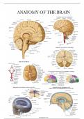 Overview Neuropsychology