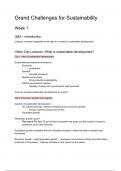 Grand Challenges for Sustainability exam summary