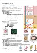 Summary Parasitology 
