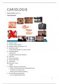 Samenvatting Cariologie - 1e bachelor Tandheelkunde