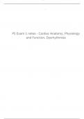 P5 Exam 1 notes - Cardiac Anatomy, Physiology and Function, Dysrhythmias