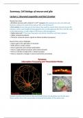 Summary Cell biology of Neuron and Glia