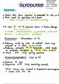 Summary of glycolysis from Textbook of Biochemistry with Clinical Correlations -  Medicine Books