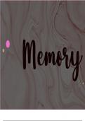 Description of sensory register, long term memory and short term memory
