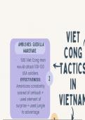 IEB Mindmap of Viet Gong tactics in Vietnam