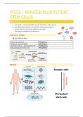 iPSC: Induced Pluripotent Stem Cells 