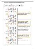 Samenvatting humane genetica en farmacogenetica (16/20)