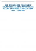 BSG ONLINE GUIDE WINNING BIG/  COMPETING IN GLOBAL MARKETPLACE  VOLUME 2 BUSINESS STRATEGY GAME  HOW TO WIN BIG