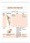 Arm in Vivo Deeltoets 1 Anatomie van het bewegingsapparaat