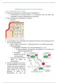 Résumé - biochimie : nucléotides