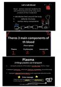 Summary -  Roles of blood