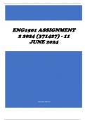 ENG1501 Assignment 2 2024 (371427) - 11 June 2024
