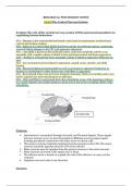 A Level Edexcel Biological Psychology Notes (with  Full A* Essay Plans)