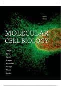 Test Bank for Molecular Cell Biology 8th Edition by Harvey Lodish, Arnold Berk, Chris A. Kaiser, Monty Krieger, Anthony Bretscher, Hidde Ploegh, Angelika Amon, Kelsey C. Marti.