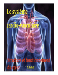 système cardio-vasculaire