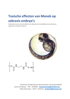 Practicum verslag toxische effecten van maneb op zebravis embryo's 