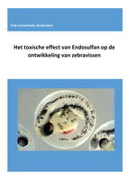 Practicumverslag 'Toxische effect van Endosulfan op Zebravissen'