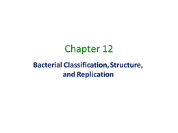 Bacterial Classification, Structure & Replication