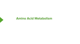 Amino Acid Metabolism Updated