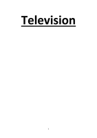 FAM1000S Exam Notes: Television Section