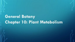 Chapter 10 Notes - Plant Metabolism