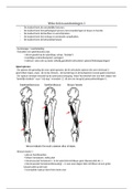 Kennistoets Orthopedie 2: Pathologie 
