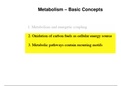 Basic Concepts of Metabolism B