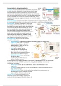 HCO6 zenuwstelsel & H48