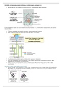 Gene regulation_lac operon lecture slides_BIOC2001