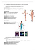 VL4 Samenvatting Fysiologische Regulatiesystemen & Microbiologie