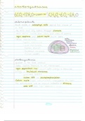 Photosynthesis - Lecture Notes