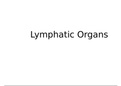 Lymphatic Organs