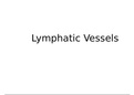 Lymphatic Vessels 