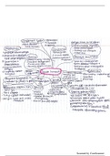 Immunology Mindmaps (NWI-BB019B) Extra study material