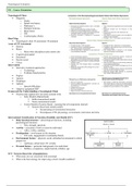Neuro Eval Midterm Study Sheet 