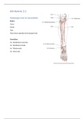 AIV osteologie en myologie wervelkolom 2.2