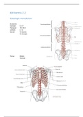 AIV osteologie en myologie knie en bovenbeen 3.1