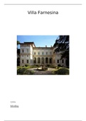 Villa Farnesina -Een kunsthistorische en iconografische analyse (Haganum PO)