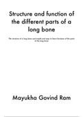 Structure and function of the different parts of a long bone