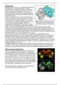 Biochemistry essay on Vildagliptin