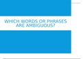Chapter 4: Which Words Or Phrases Are Ambiguous?